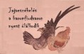 /album/termeszet-haikuk/nyest-olalkodik-jpg/